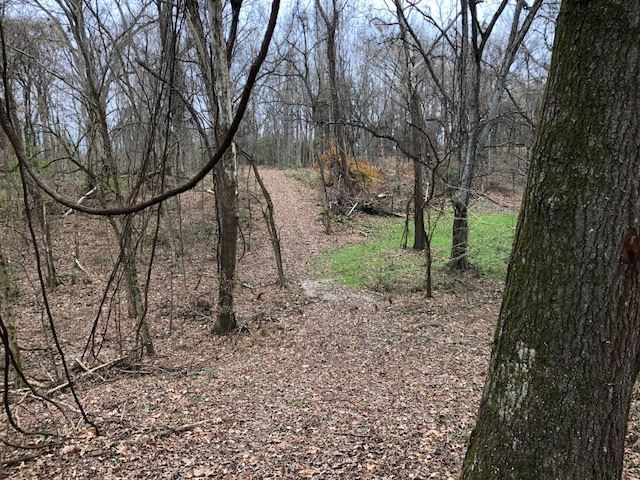 3164 Renshaw Road Yazoo City, MS 39194 - Photo 30 of 40 Photo 30