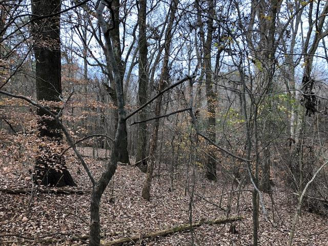 3164 Renshaw Road Yazoo City, MS 39194 - Photo 3 of 40 Photo 3