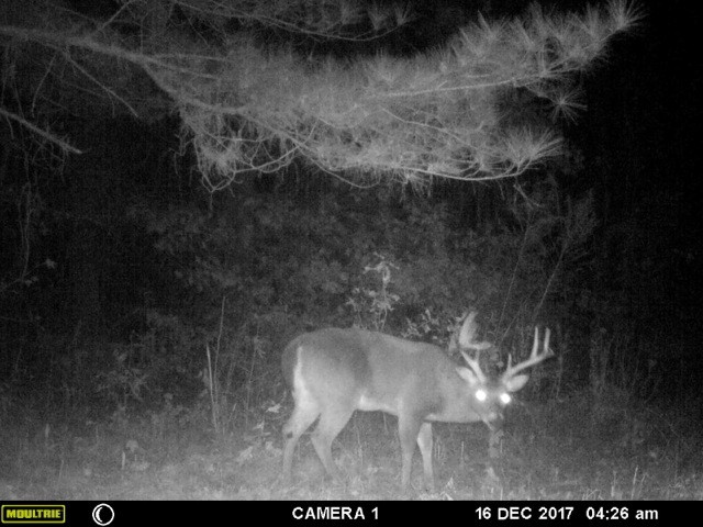 3164 Renshaw Road Yazoo City, MS 39194 - Photo 34 of 40 Photo 34