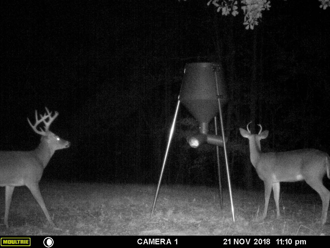 3164 Renshaw Road Yazoo City, MS 39194 - Photo 35 of 40 Photo 35