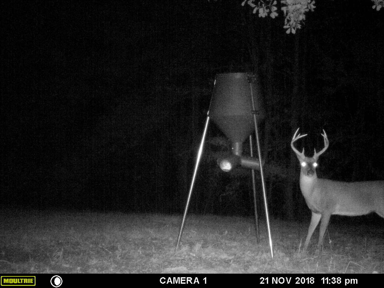 3164 Renshaw Road Yazoo City, MS 39194 - Photo 36 of 40 Photo 36