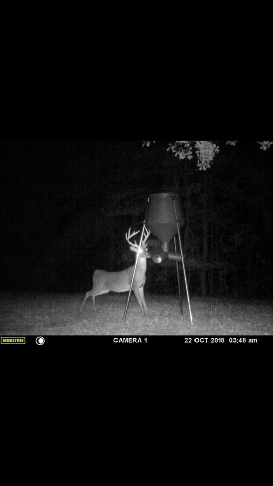 3164 Renshaw Road Yazoo City, MS 39194 - Photo 37 of 40 Photo 37
