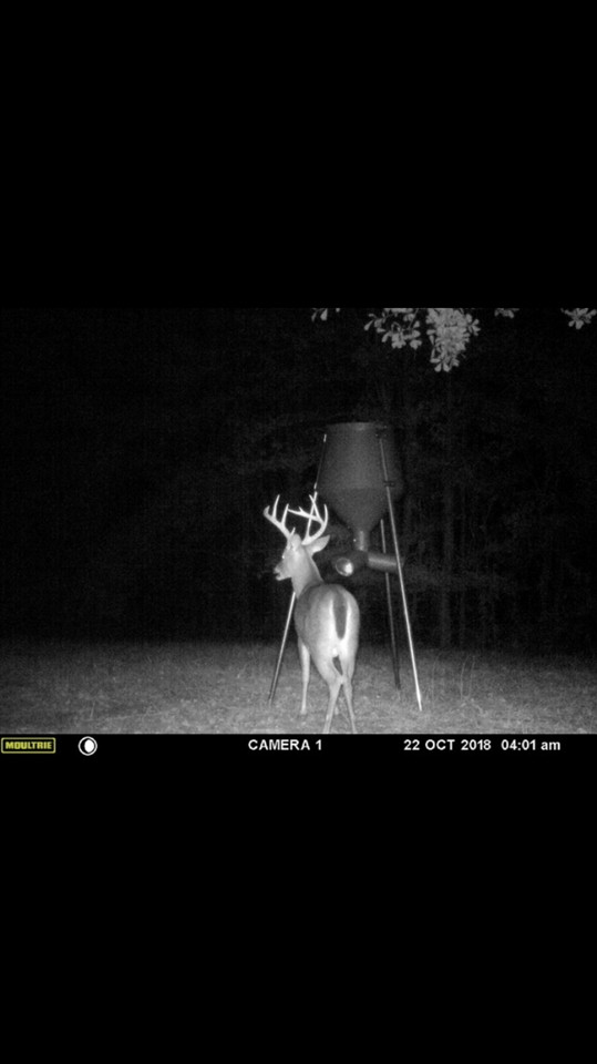 3164 Renshaw Road Yazoo City, MS 39194 - Photo 38 of 40 Photo 38