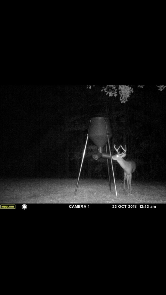 3164 Renshaw Road Yazoo City, MS 39194 - Photo 39 of 40 Photo 39