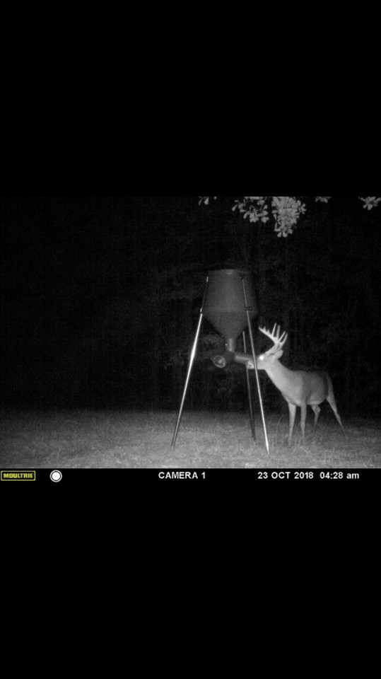 3164 Renshaw Road Yazoo City, MS 39194 - Photo 40 of 40 Photo 40