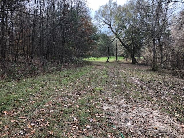 3164 Renshaw Road Yazoo City, MS 39194 - Photo 6 of 40 Photo 6