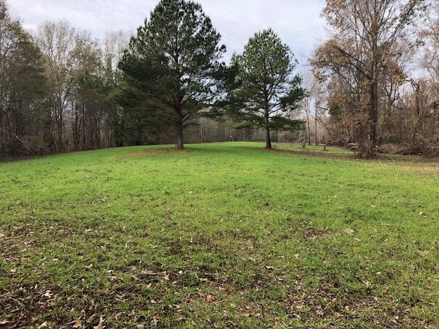 3164 Renshaw Road Yazoo City, MS 39194 - Photo 7 of 40 Photo 7