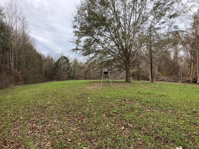 3164 Renshaw Road Yazoo City, MS 39194 - Photo 10 of 40 Photo 10