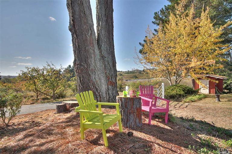 a view of a backyard with table and chairs potted plants and a large tree