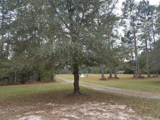 5990 County Line Road Ravenel, SC 29470 - Photo 21 of 24 5990 county line rd oak