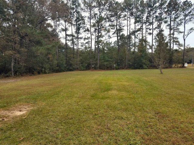 5990 County Line Road Ravenel, SC 29470 - Photo 22 of 24 5990 county line rd yard