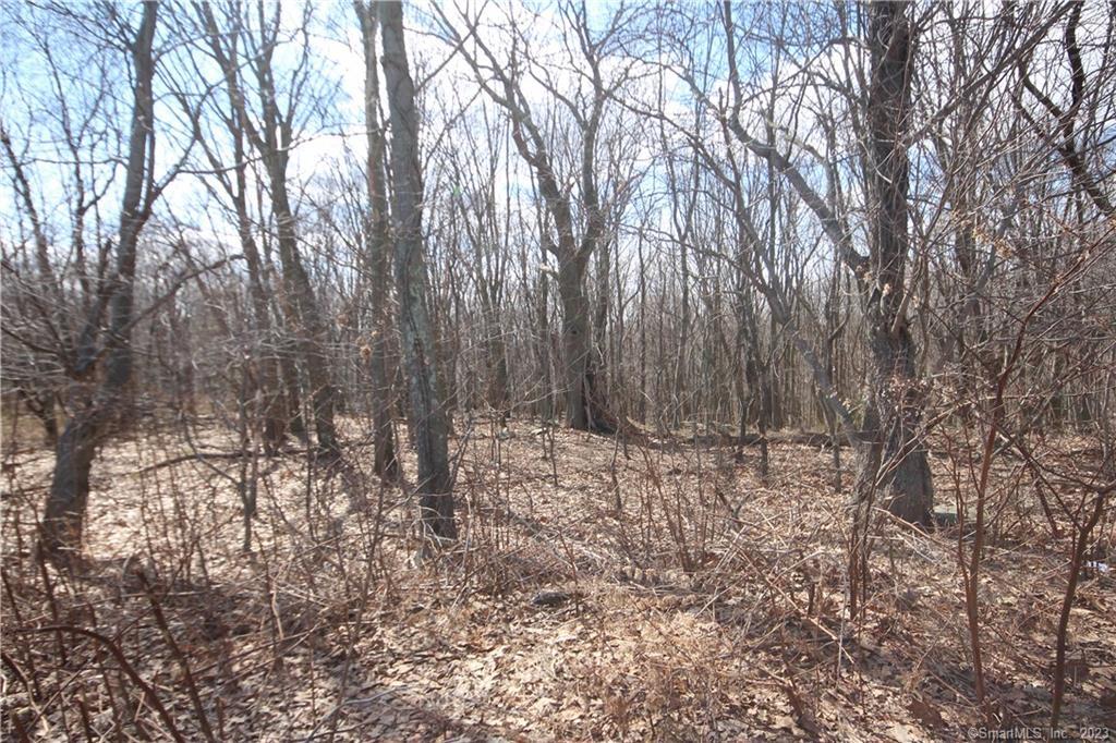 20 New Haven Road Prospect, CT 06712 - Photo 26 of 36