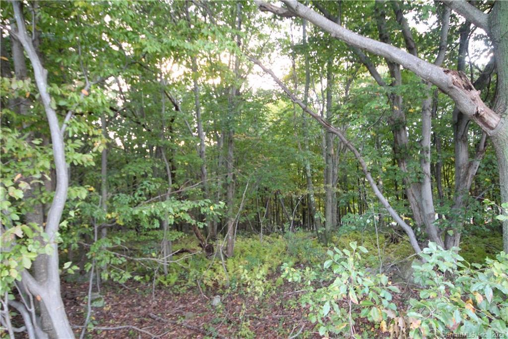 20 New Haven Road Prospect, CT 06712 - Photo 3 of 36