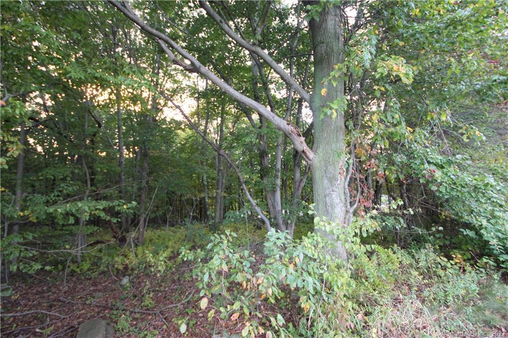 20 New Haven Road Prospect, CT 06712 - Photo 8 of 36