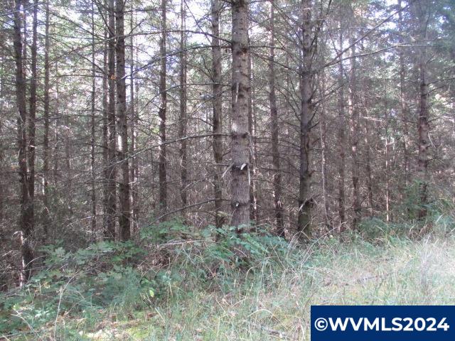 0 Northwest Crane (3) Road Yamhill, OR 97148 - Photo 11 of 14