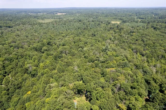 $65,000 | 23 Beaver Dam Brook Road, Williamstown, NY 13302