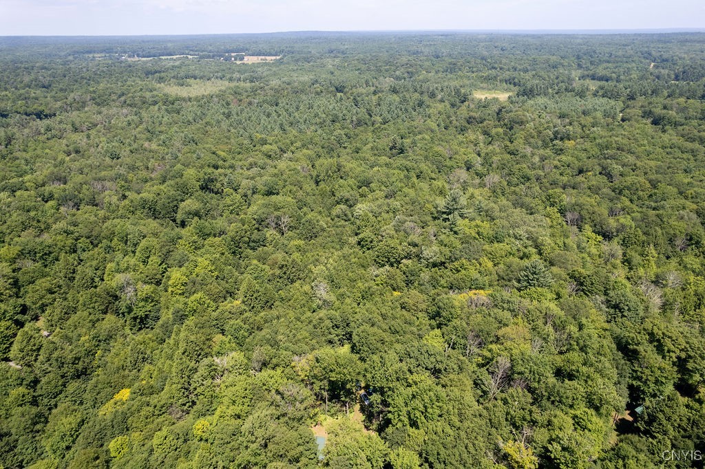 23 Beaver Dam Brook Road Altmar, NY 13302 - Photo 21 of 34