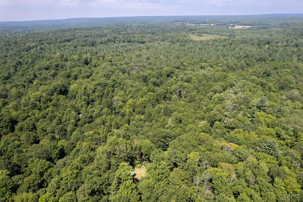 23 Beaver Dam Brook Road Altmar, NY 13302 - Photo 22 of 34