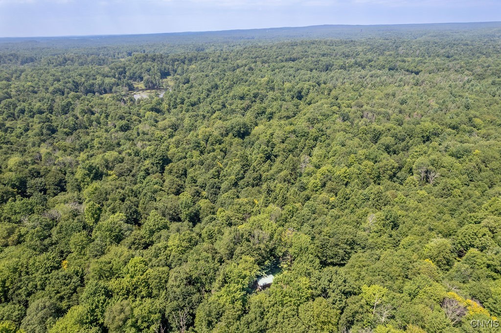 23 Beaver Dam Brook Road Altmar, NY 13302 - Photo 23 of 34