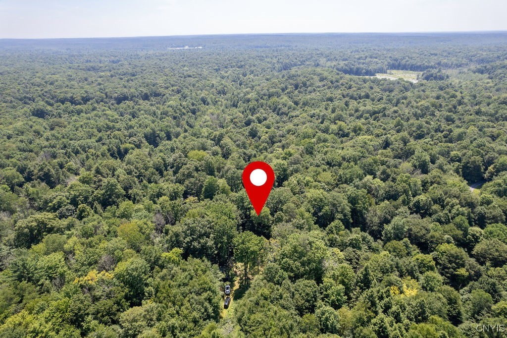 23 Beaver Dam Brook Road Altmar, NY 13302 - Photo 29 of 34