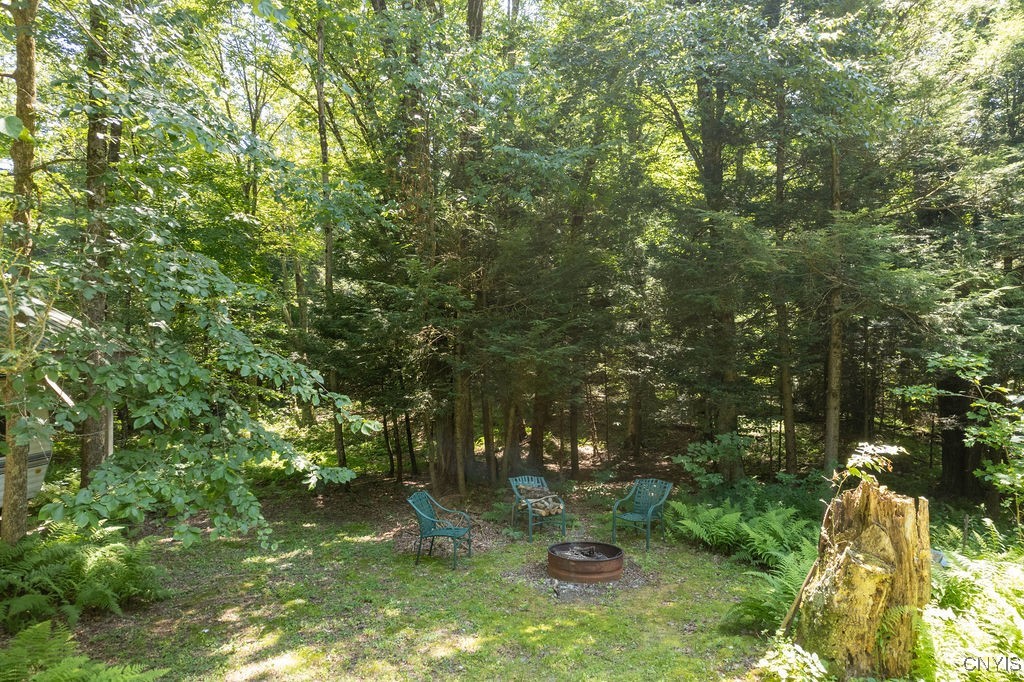 23 Beaver Dam Brook Road Altmar, NY 13302 - Photo 30 of 34