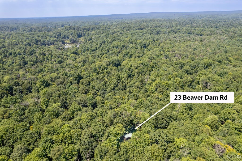 23 Beaver Dam Brook Road Altmar, NY 13302 - Photo 3 of 34