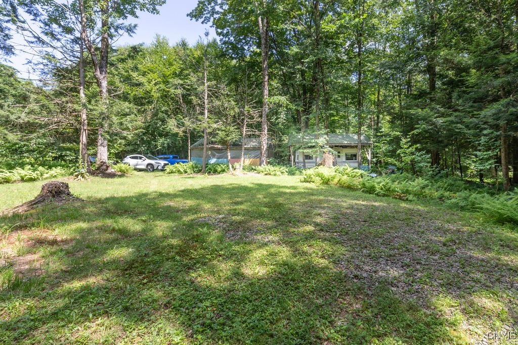 23 Beaver Dam Brook Road Altmar, NY 13302 - Photo 31 of 34