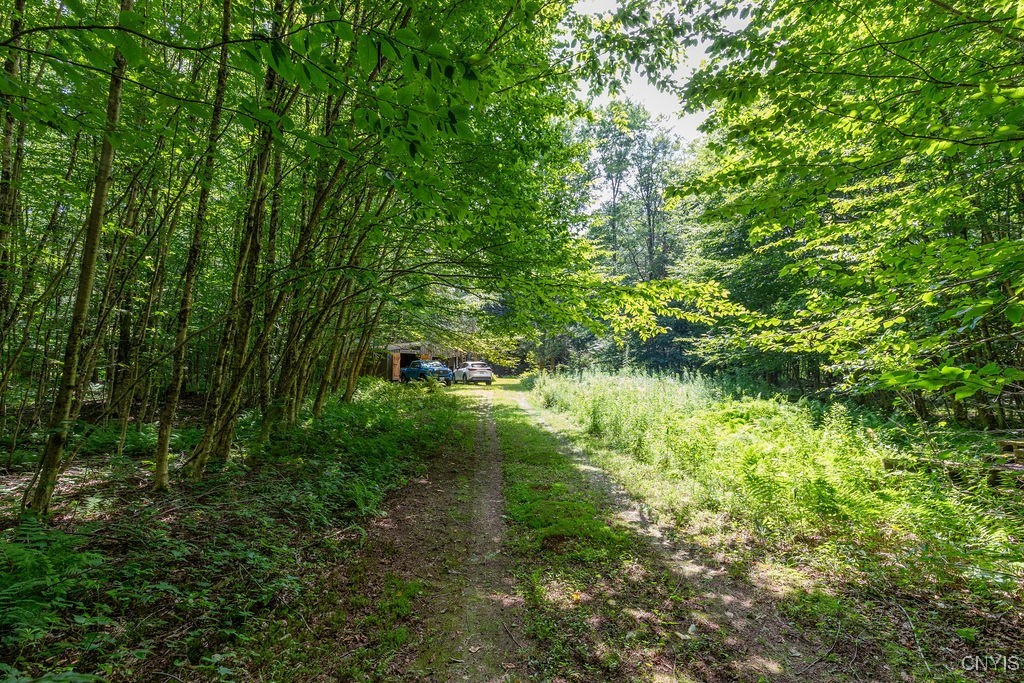 23 Beaver Dam Brook Road Altmar, NY 13302 - Photo 33 of 34