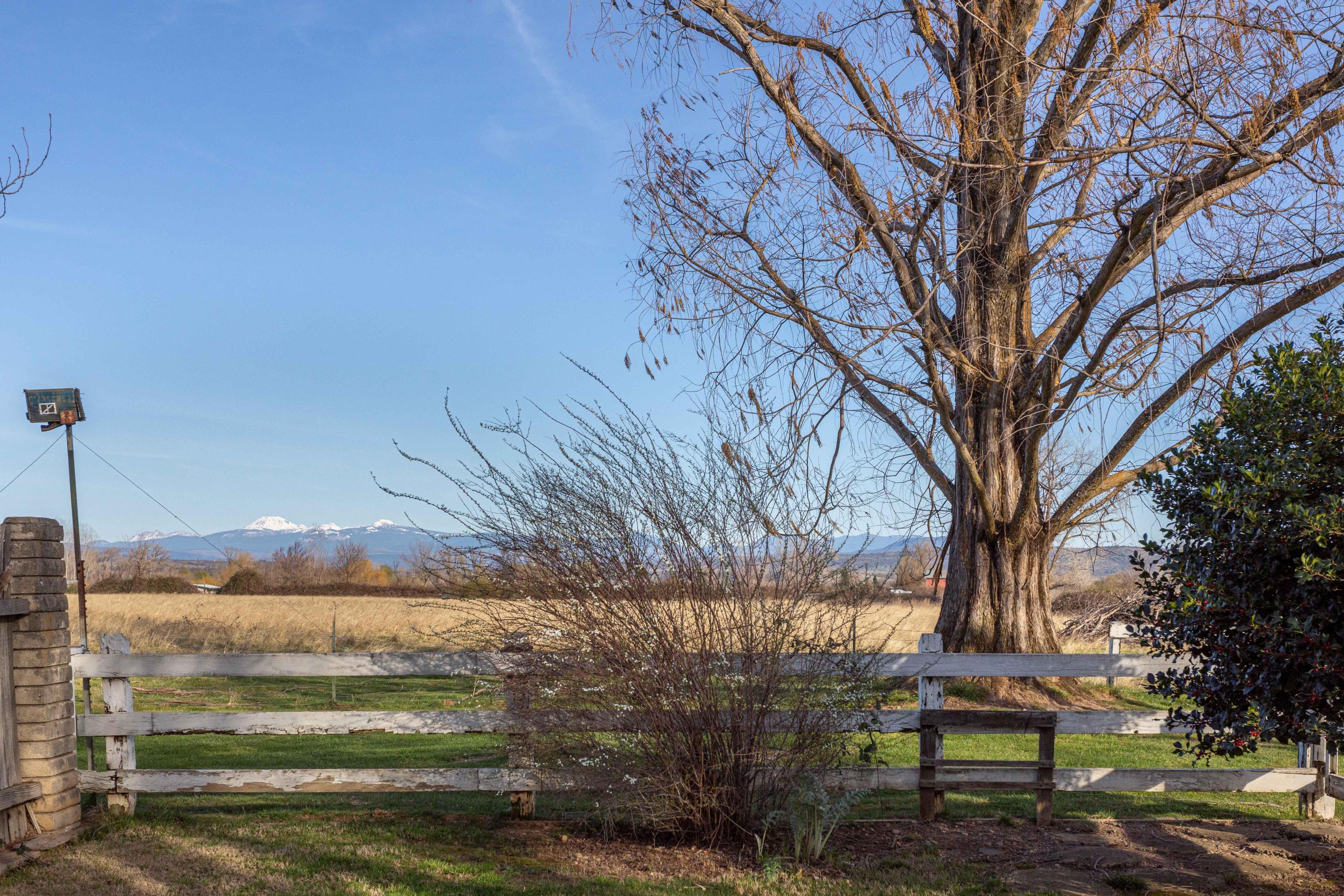 3735 Drybread Road Cottonwood, CA 96022 - Photo 52 of 73 254A9549
