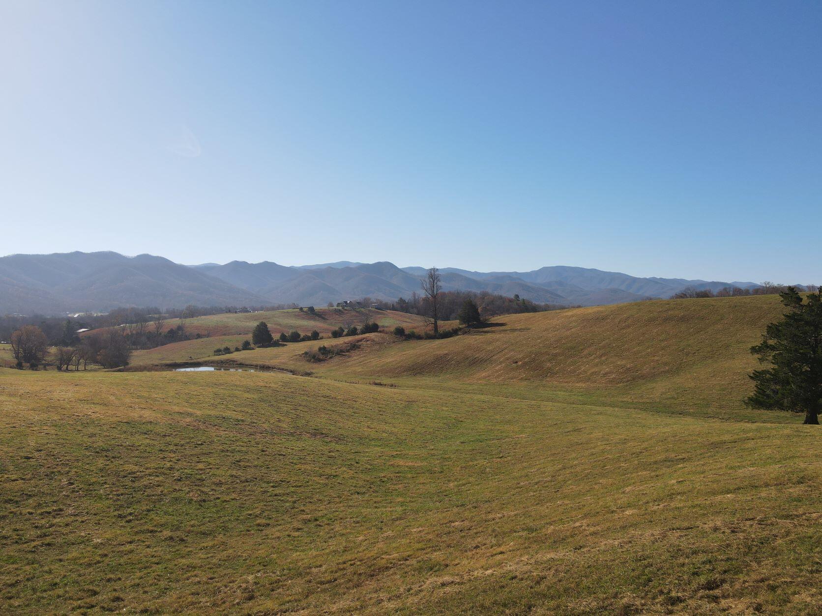 2 Laws Road, Unit 2 Limestone, TN 37681 - Photo 3 of 3 DJI_0533