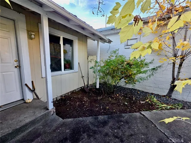 a view of a potted plants in front of a house