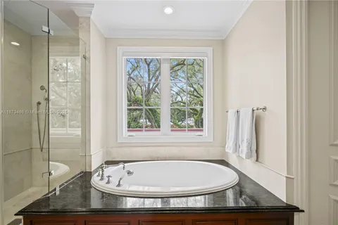 a view of a park with large trees