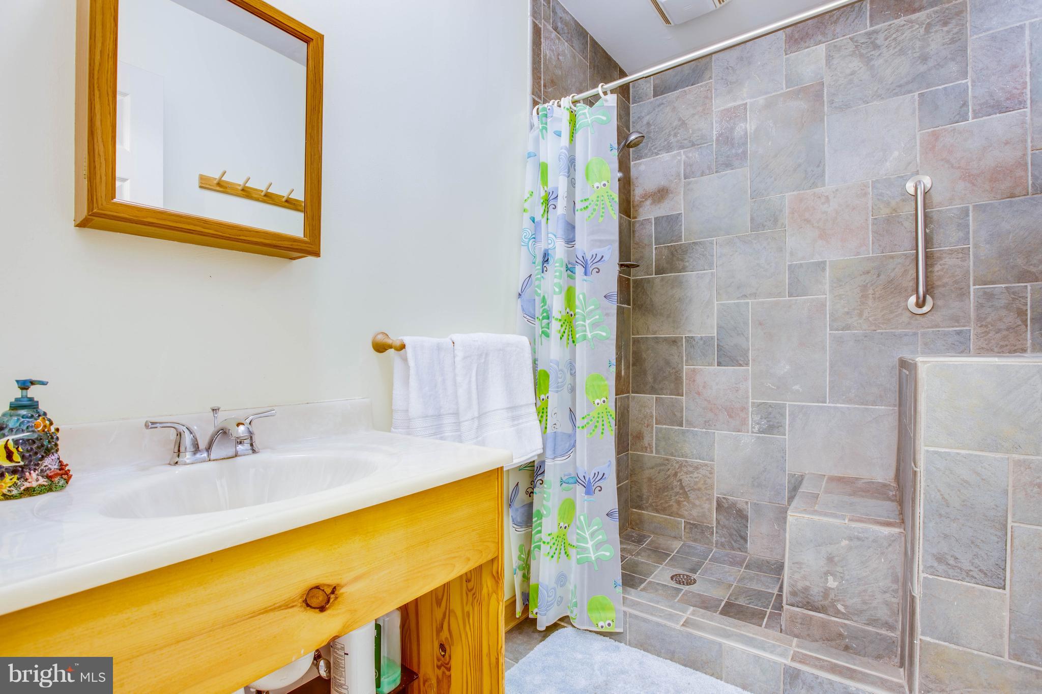 528 Cropp Road Fredericksburg, VA 22406 - Photo 7 of 20 Bath