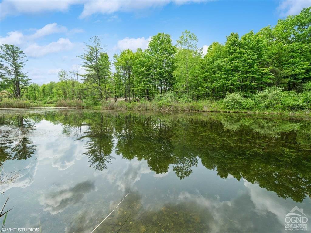a view of a lake from a yard
