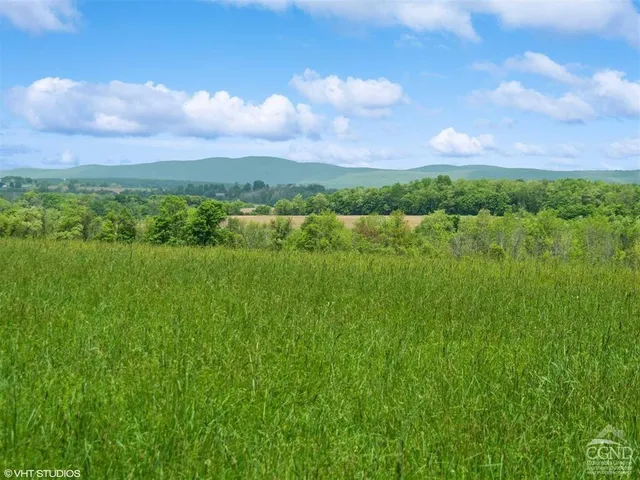 a view of a city with lush green forest