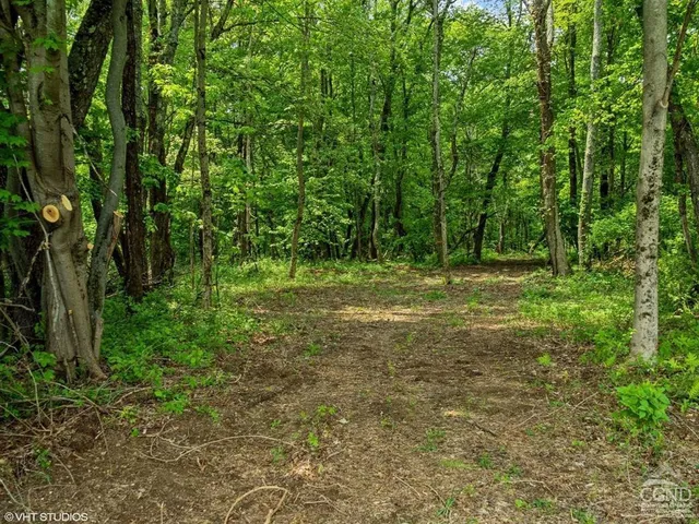 a view of outdoor space with trees all around