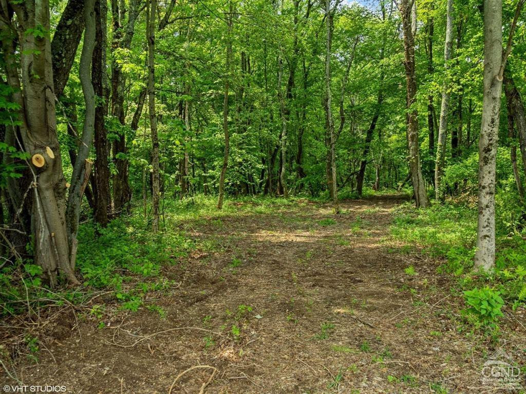 0 Skunks Misery Road Millerton, NY 12546 - Photo 13 of 16 a view of outdoor space with trees all around