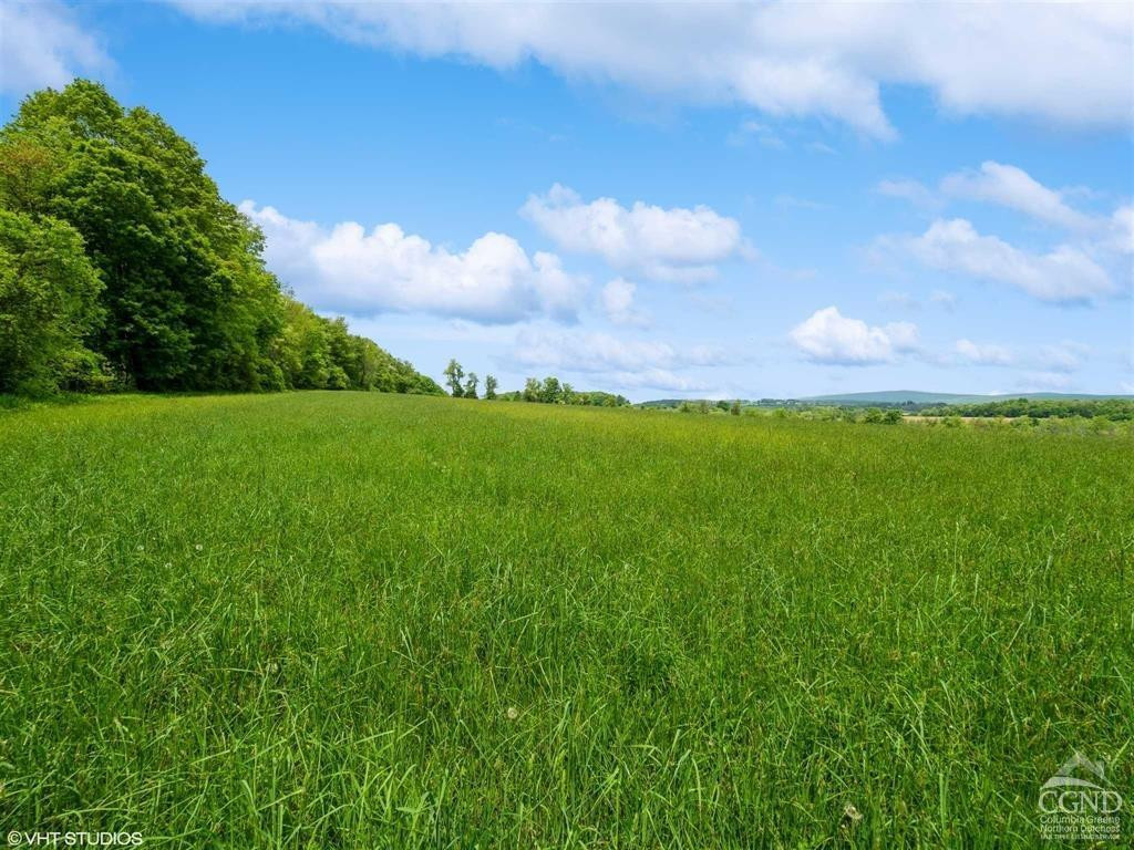 0 Skunks Misery Road Millerton, NY 12546 - Photo 14 of 16 a view of a big yard with plants and large trees