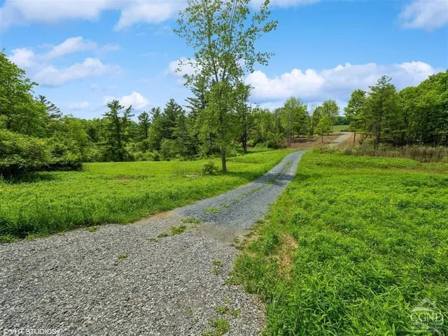 a view of a park with large trees and a big yard