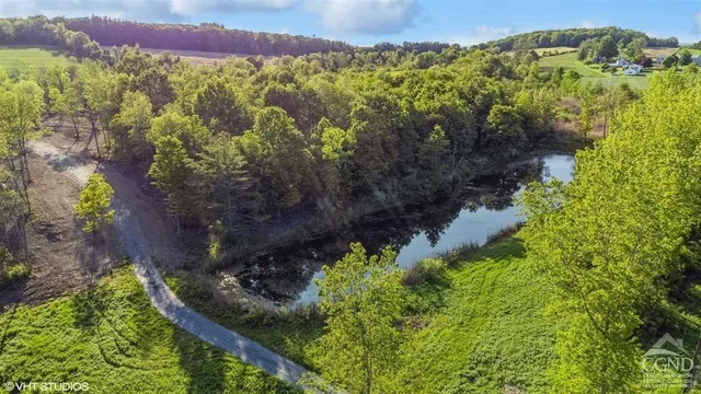 a view of a bunch of flowers and trees