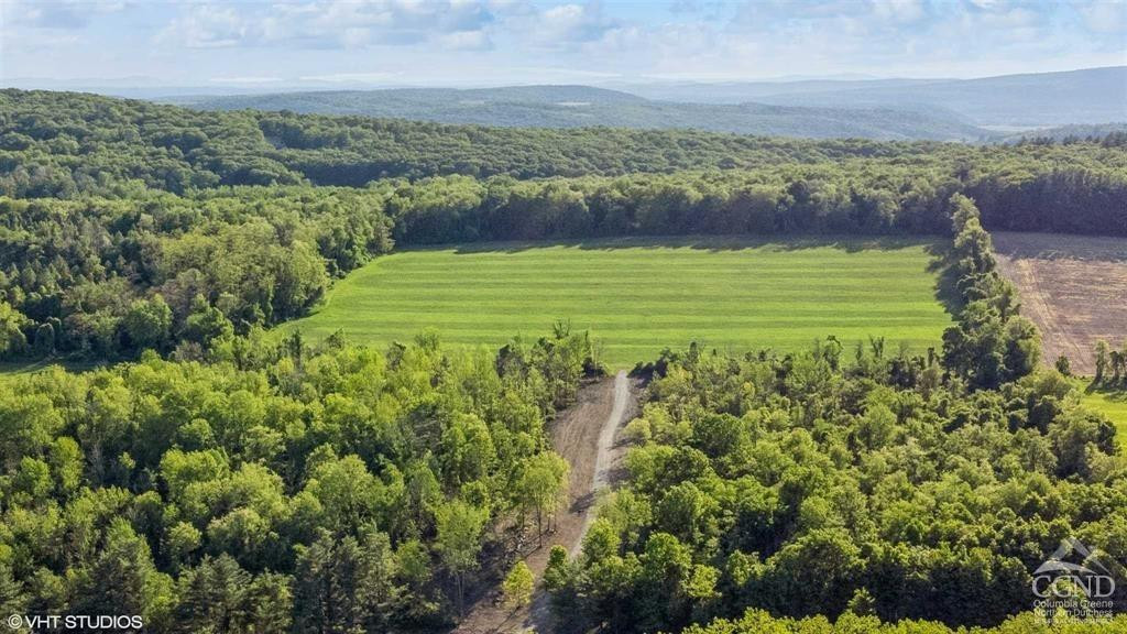0 Skunks Misery Road Millerton, NY 12546 - Photo 5 of 16 a view of a city with lush green forest