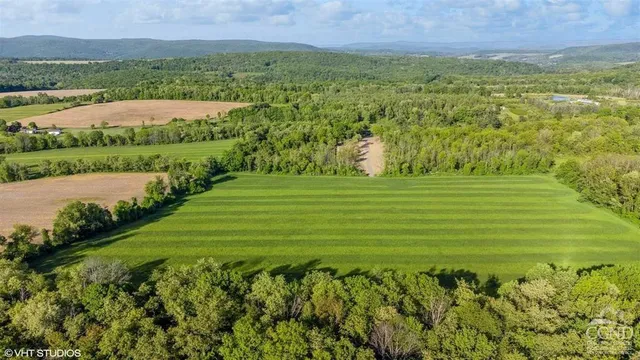 a view of a field with an ocean