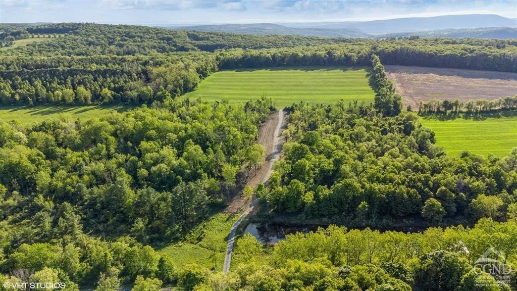 0 Skunks Misery Road Millerton, NY 12546 - Photo 8 of 16 a view of a lake with a houses