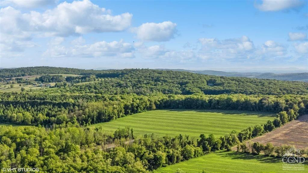 0 Skunks Misery Road Millerton, NY 12546 - Photo 10 of 16 a view of a grassy area