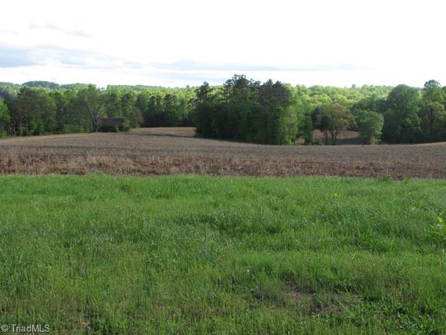 Off Howards Bridge Road Union Grove, NC 28689 - Photo 1 of 17 Main View