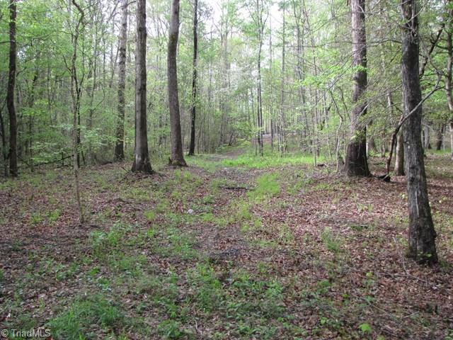 Off Howards Bridge Road Union Grove, NC 28689 - Photo 13 of 17 Gallery Image 13