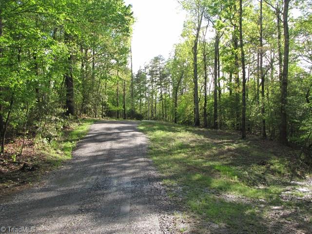 Off Howards Bridge Road Union Grove, NC 28689 - Photo 14 of 17 Gallery Image 14