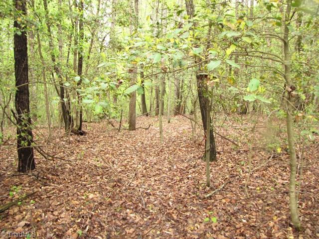 Off Howards Bridge Road Union Grove, NC 28689 - Photo 10 of 17 Gallery Image 10