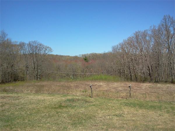 23 Hutchinson Road Sutton, MA 01590 - Photo 4 of 17