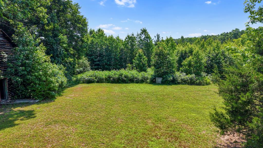 6502 Nutbush Road Green Bay, VA 23942 - Photo 49 of 62 Gallery Image 49